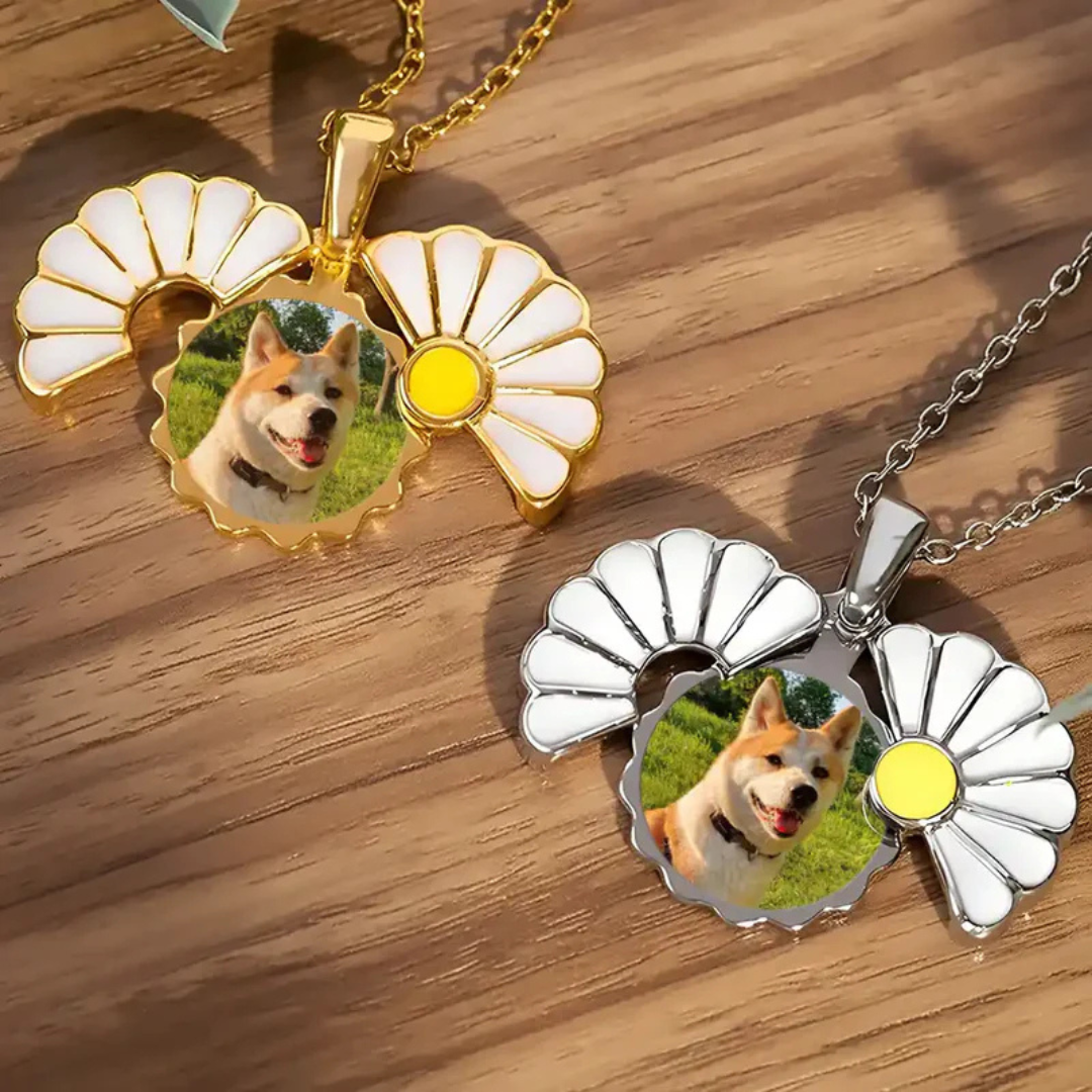 Personligt halsband med dolt meddelande