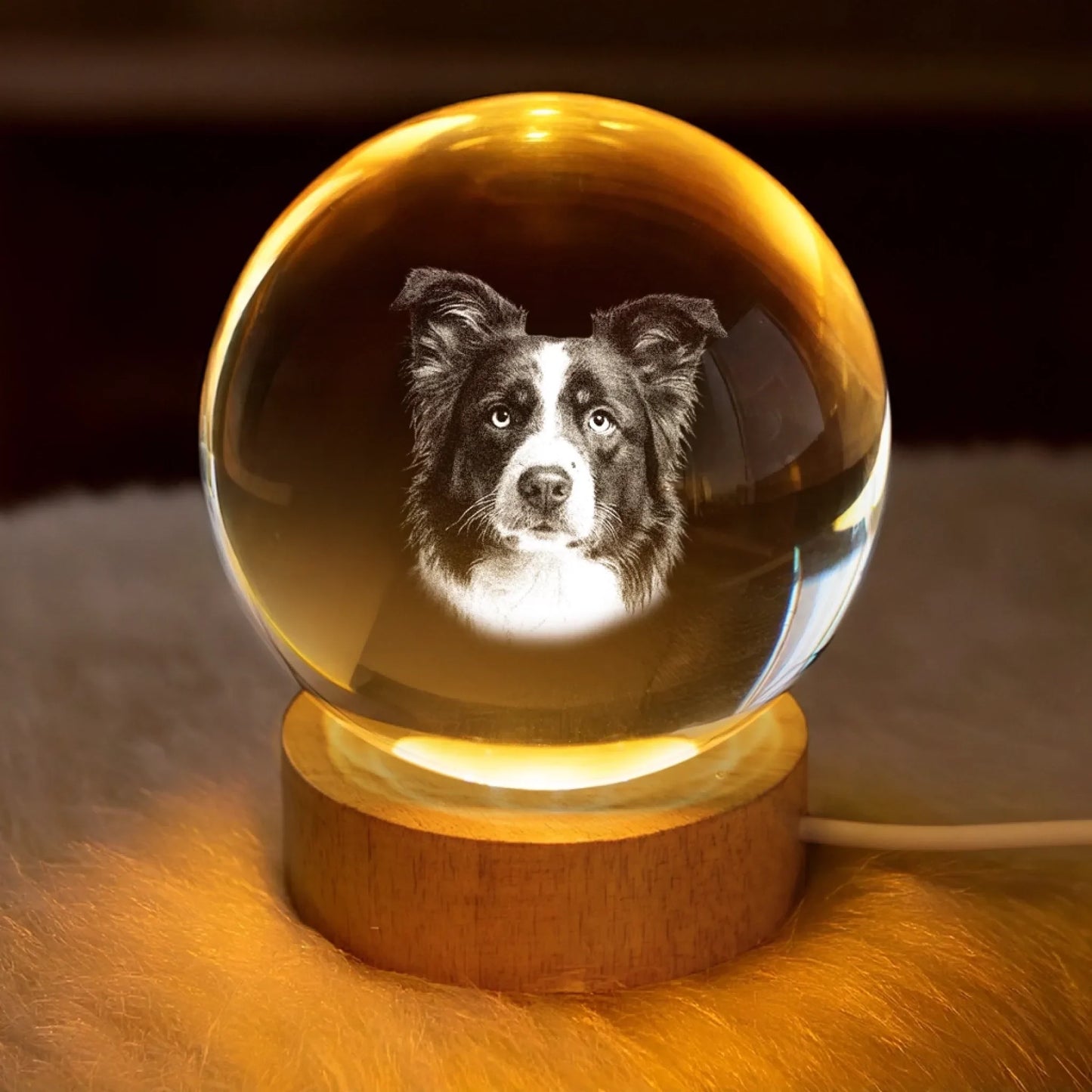 Personlig Fotoglob - Husdjur