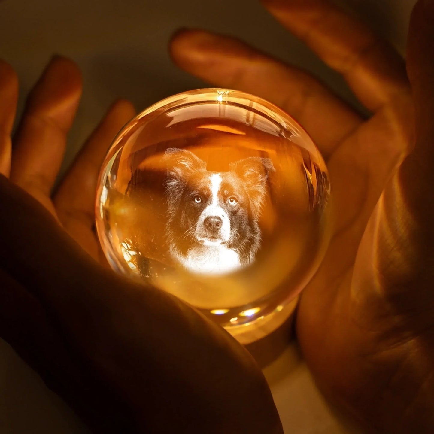 Personlig Fotoglob - Husdjur