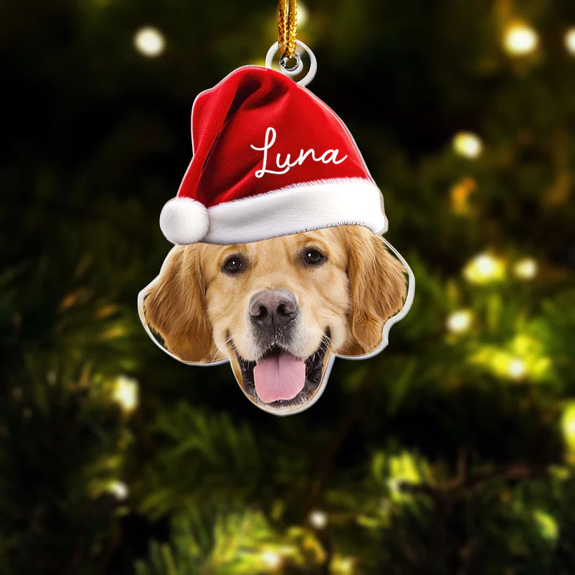 Personalisierter Weihnachtsschmuck – Haustier mit Wichtelmütze
