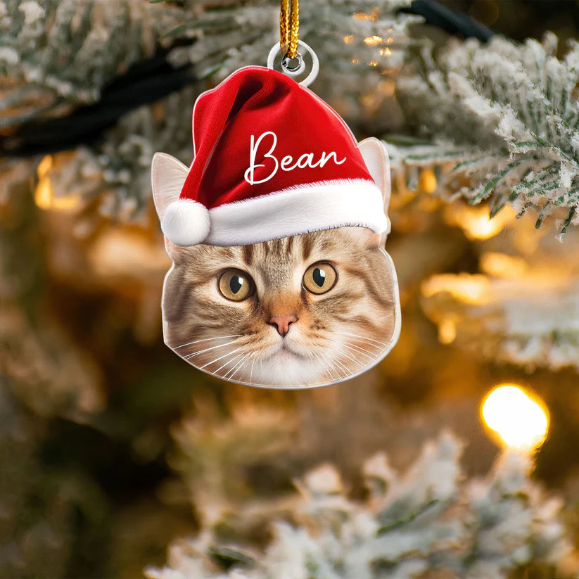 Personalisierter Weihnachtsschmuck – Haustier mit Wichtelmütze