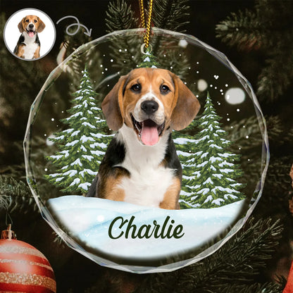 Personalisierte Weihnachtsdeko – Haustier mit eigenem Foto
