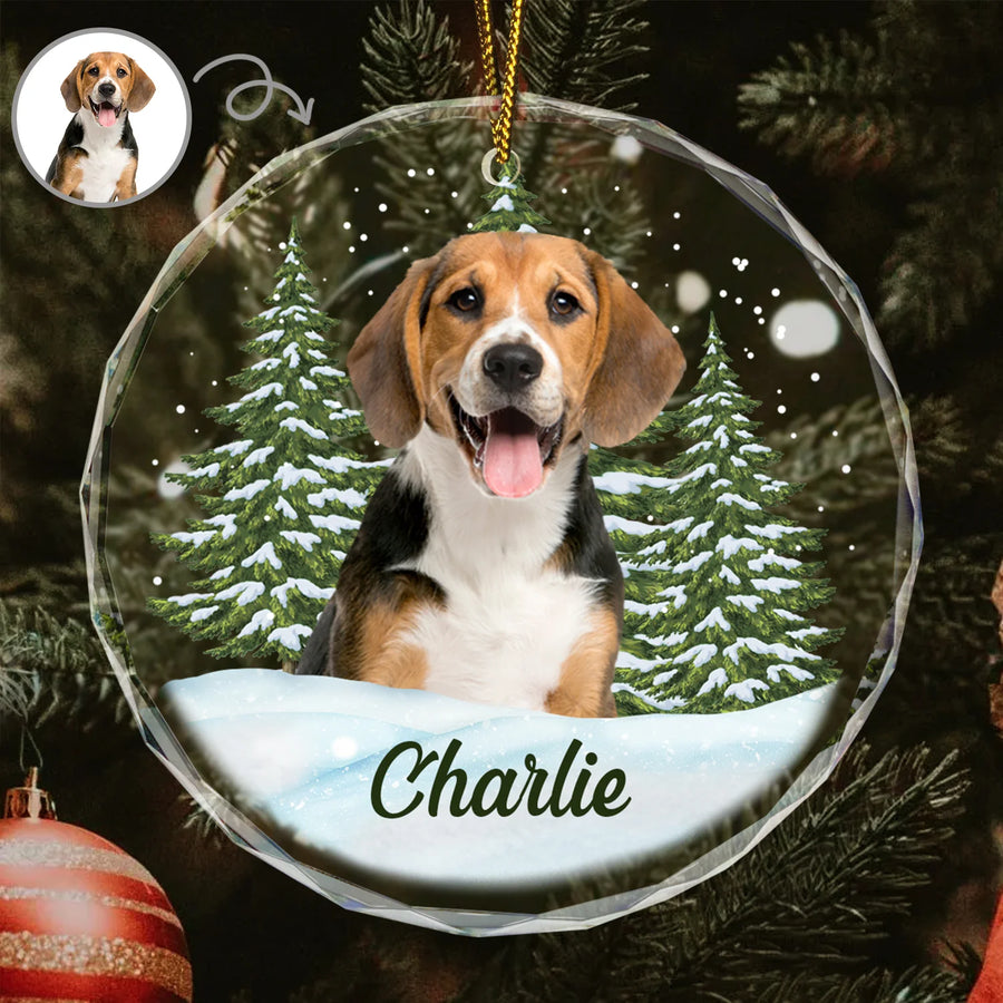 Personalisierte Weihnachtsdeko – Haustier mit eigenem Foto