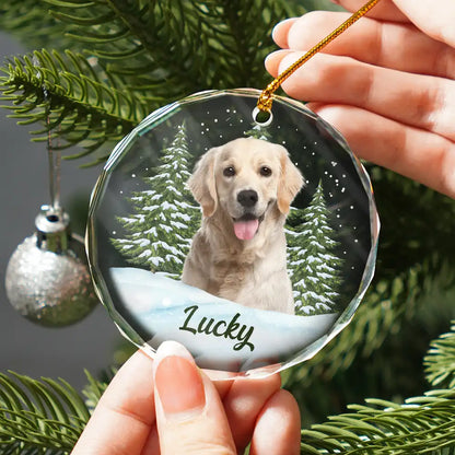 Personalisierte Weihnachtsdeko – Haustier mit eigenem Foto