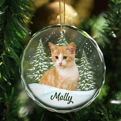 Personalisierte Weihnachtsdeko – Haustier mit eigenem Foto
